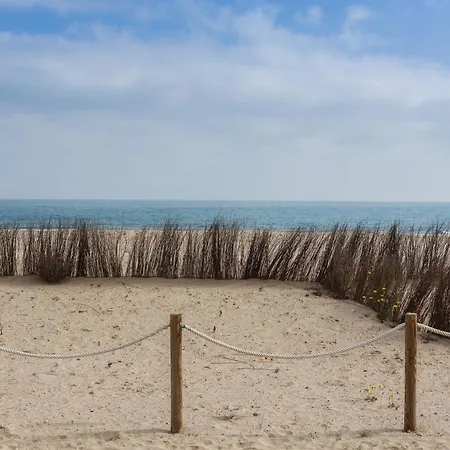Nueva Playa A8 Dénia